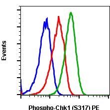 Phospho-Chk1 (Ser317) (F10) rabbit mAb PE conjugate Antibody