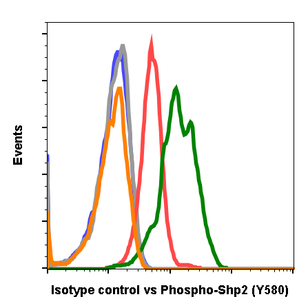 Isotype Control (G9) rabbit mAb Antibody