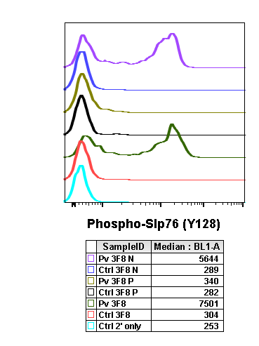 Phospho-SLP-76 (Tyr128) (3F8) rabbit mAb Antibody