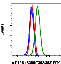 Phospho-PTEN (Ser380/Thr382/383) (E4) rabbit mAb FITC conjugate Antibody