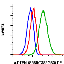 Phospho-PTEN (Ser380/Thr382/383) (E4) rabbit mAb PE conjugate Antibody