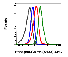 Phospho-CREB (Ser133) (4D11) rabbit mAb APC conjugate Antibody