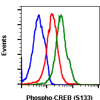Phospho-CREB (Ser133) (4D11) rabbit mAb PE conjugate Antibody