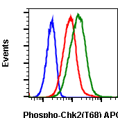 Phospho-Chk2 (Thr68) (D12) rabbit mAb APC conjugate Antibody