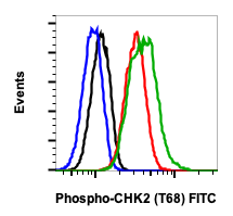 Phospho-Chk2 (Thr68) (D12) rabbit mAb FITC conjugate Antibody