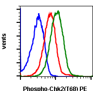 Phospho-Chk2 (Thr68) (D12) rabbit mAb PE conjugate Antibody