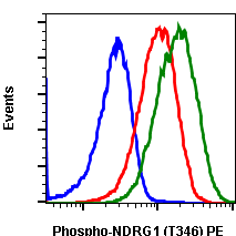 Phospho-NDRG1 (Thr346) (F5) rabbit mAb PE conjugate Antibody