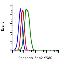 Phospho-Shp2 (Tyr580) (4A2) rabbit mAb FITC conjugate Antibody