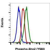 Phospho-Shp2 (Tyr580) (4A2) rabbit mAb PE conjugate Antibody