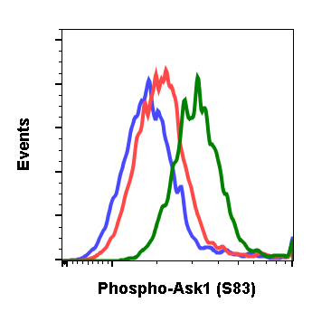 Phospho-Ask1 (Ser83) (G4) rabbit mAb Antibody