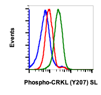 Phospho-CrkL (Tyr207) (G4) rabbit mAb SureLight488 Conjugate Antibody