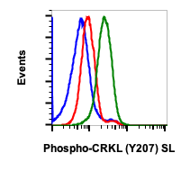 Phospho-CrkL (Tyr207) (G4) rabbit mAb SureLight488 Conjugate