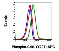 Phospho-CrkL (Tyr207) (G4) rabbit mAb PE conjugate Antibody
