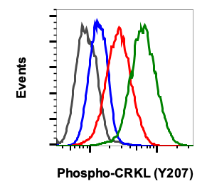 Phospho-CrkL (Tyr207) (G4) rabbit mAb
