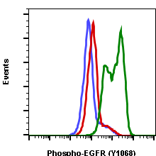 Phospho-EGFR (Tyr1068) (E5) rabbit mAb APC conjugate Antibody