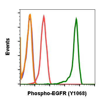 Phospho-EGFR (Tyr1068) (E5) rabbit mAb Antibody