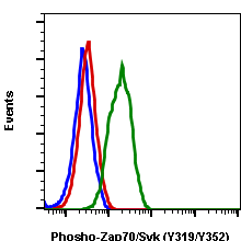 Phospho-Zap70 (Tyr319)/Syk (Tyr352) (A3) rabbit mAb SureLight 488 conjugate Antibody