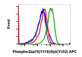 Phospho-Zap70 (Tyr319)/Syk (Tyr352) (A3) rabbit mAb APC conjugate Antibody