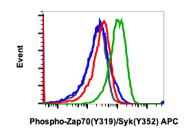 Phospho-Zap70 (Tyr319)/Syk (Tyr352) (A3) rabbit mAb APC conjugate