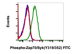 Phospho-Zap70 (Tyr319)/Syk (Tyr352) (A3) rabbit mAb FITC conjugate Antibody