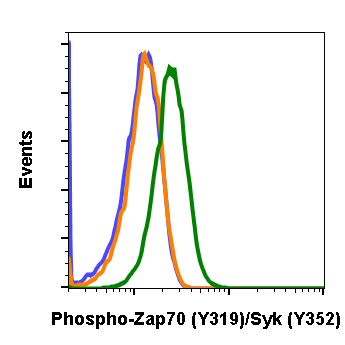Phospho-Zap70 (Tyr319)/Syk (Tyr352) (A3) rabbit mAb Antibody