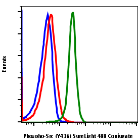 Phospho-Src (Tyr416) (C4) rabbit mAb SureLight488 conjugate Antibody