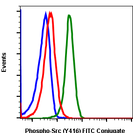 Phospho-Src (Tyr416) (C4) rabbit mAb FITC conjugate Antibody