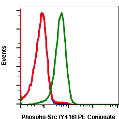 Phospho-Src (Tyr416) rabbit mAb PE conjugate Antibody