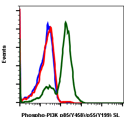 Phospho-PI3 Kinase p85 (Tyr458)/p55 (Tyr199) (1A11) rabbit mAb SureLight488 conjugate