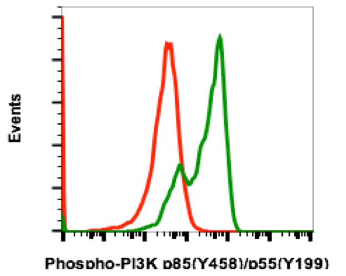 Phospho-PI3 Kinase p85 (Tyr458)/p55 (Tyr199) (1A11) rabbit mAb FITC conjugate