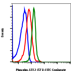 Phospho-ATF2 (Thr71) (G3) rabbit mAb FITC conjugate Antibody