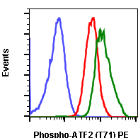 Phospho-ATF2 (Thr71) rabbit mAb PE conjugate Antibody