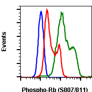 Phospho-Rb (Ser807/811) (D9) rabbit mAb Antibody