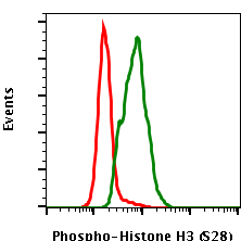 Phospho-Histone H3 (Ser28) (D6) rabbit mAb PE conjugate Antibody