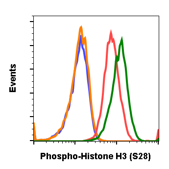 Phospho-Histone H3 (Ser28) (D6) rabbit mAb Antibody