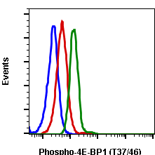Phospho-4E-BP1 (Thr37/46) (A5) rabbit mAb SureLight 488 conjugate Antibody
