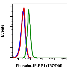 Phospho-4E-BP1 (Thr37/46) (A5) rabbit mAb FITC conjugate Antibody