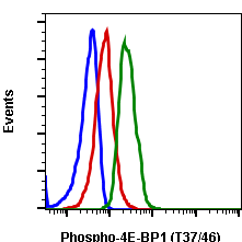Phospho-4E-BP1 (Thr37/46) (A5) rabbit mAb PE conjugate Antibody