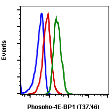 Phospho-4E-BP1 (Thr37/46) (A5) rabbit mAb PE conjugate