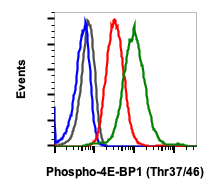 Phospho-4E-BP1 (Thr37/46) (A5) rabbit mAb Antibody