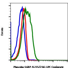 Phospho-S6 Ribosomal Protein (Ser235/236) (R3A2) rabbit mAb APC conjugate Antibody