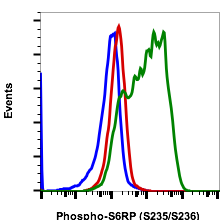 Phospho-S6 Ribosomal Protein (Ser235/236) (R3A2) rabbit mAb FITC conjugate Antibody