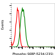 Phospho-S6 Ribosomal Protein (Ser235/236) (R3A2) rabbit mAb PE conjugate Antibody