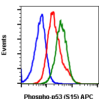 Phospho-p53 (Ser15) (1C11) rabbit mAb APC conjugate Antibody