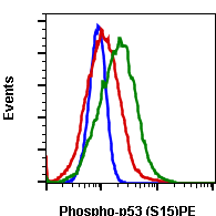Phospho-p53 (Ser15) (1C11) rabbit mAb PE conjugate Antibody