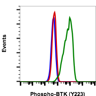 Phospho-Btk (Tyr223) (B4) rabbit mAb FITC conjugate Antibody