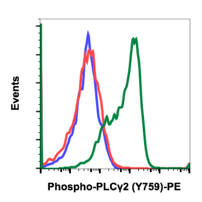 Phospho-PLCγ2 (Tyr759) (G3) rabbit mAb PE conjugate Antibody