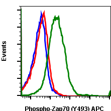 Phospho-Zap70 (Tyr493)/Syk (Tyr526) (H11) rabbit mAb APC conjugate Antibody