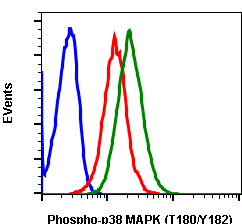 Phospho-p38 MAPK (Thr180/Tyr182) (E3) rabbit mAb SureLight488 Conjugate Antibody