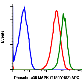 Phospho-p38 MAPK (Thr180/Tyr182) (E3) rabbit mAb APC conjugate Antibody